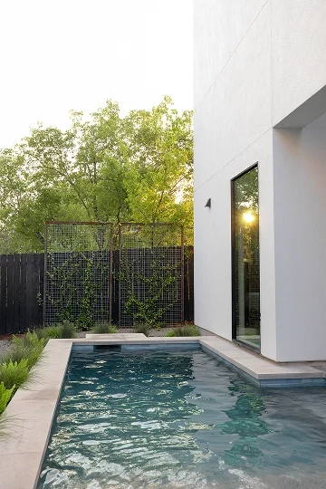 A modern backyard pool beside a white building on New York Avenue, featuring a black fence, metal trellis, green plants, and trees in the background.
