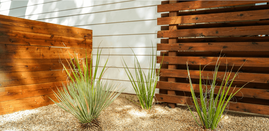 2 wooden fences behind a gravel bed with spiky plants.