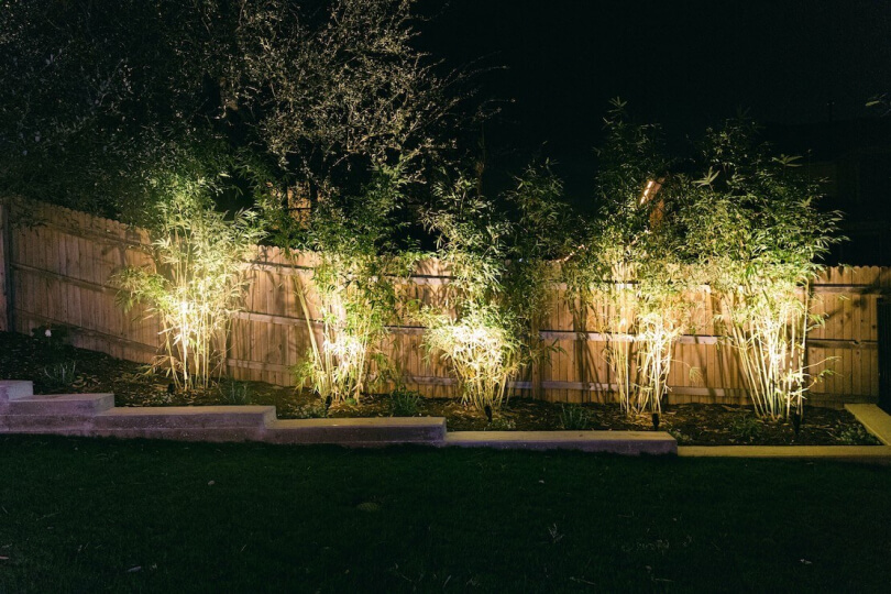 A fence with 5 tall plants in front of it each lit up by a small floodlight.
