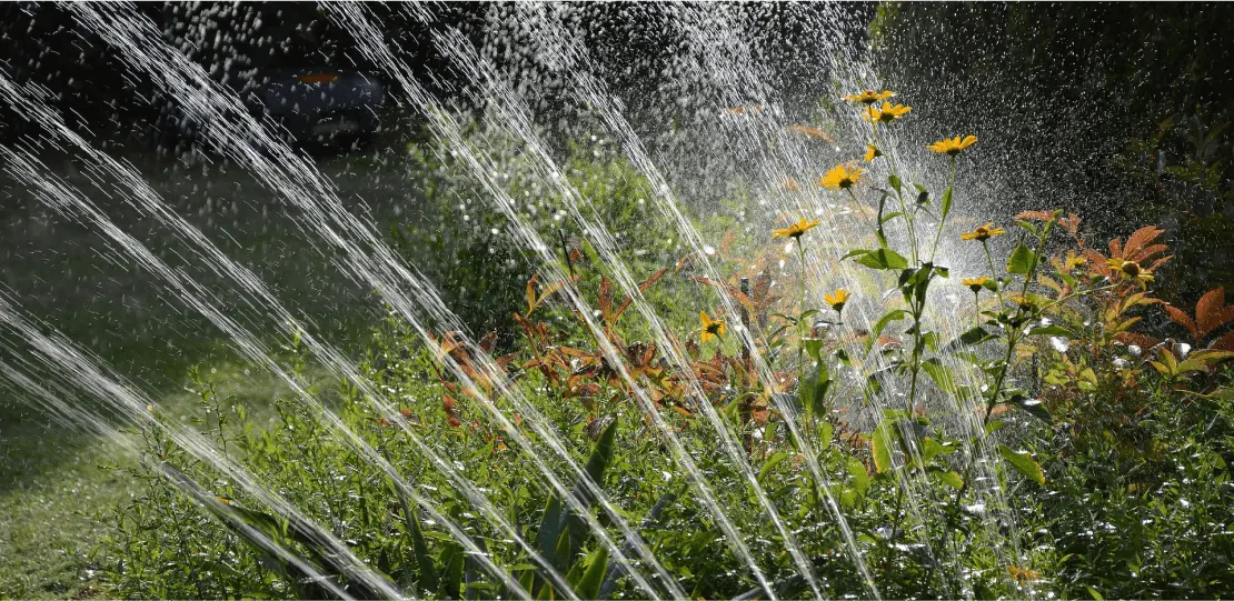 Streams of water from a sprinkler shooting out over some plants and flowers.