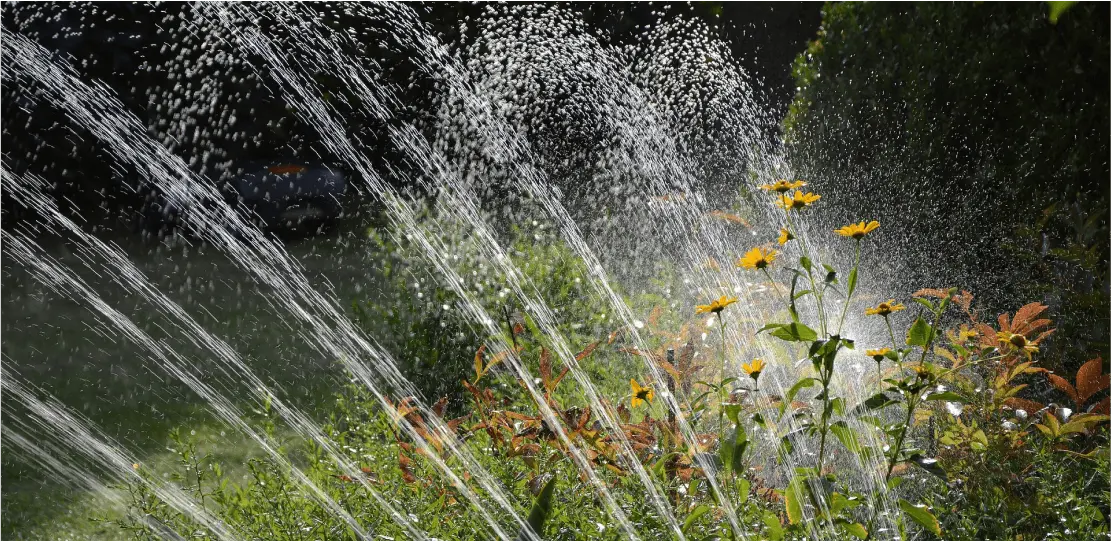 Streams of water from a sprinkler shooting out over some plants and flowers.