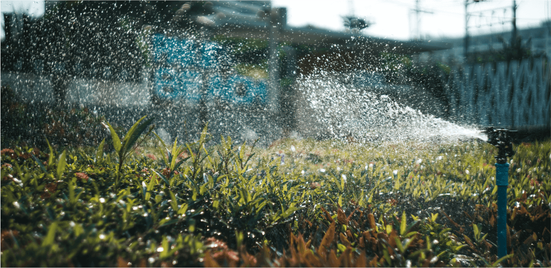 Close up of sprinklers running on a lawn.