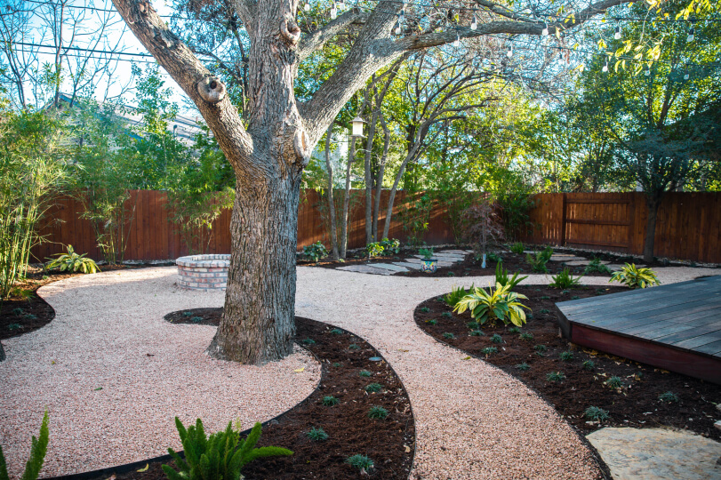 Backyard with trees, gravel path, and areas of mulch with newly planted shrubs.