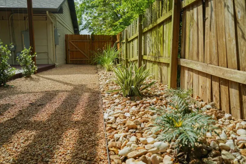 Close up of large pebbles surrounding small scrubby plants lining a fence.