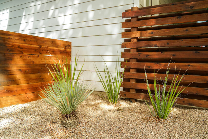 2 wooden fences behind a gravel bed with spiky plants.