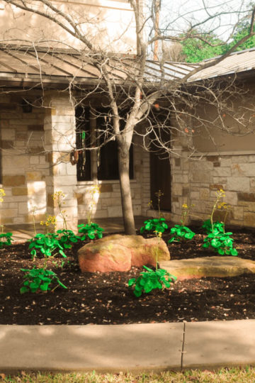Front yard of a house with green shrubs in the front. A tree and large boulders can be seen in the landscaping. A brick house can be seen in the background.