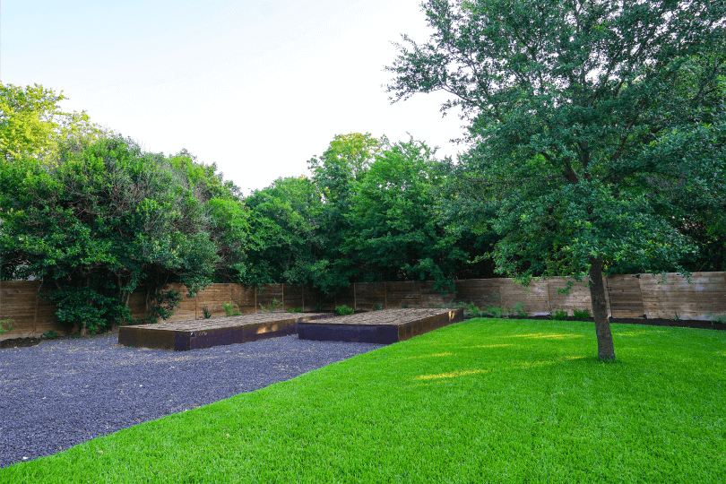 Green grass in a landscaped yard. There are trees and black gravel in the background.