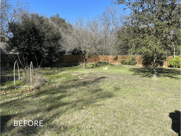Before image of a backyard with grass and trees