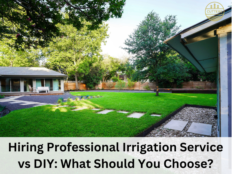 Hiring Professional Irrigation Service vs DIY What Should You Choose