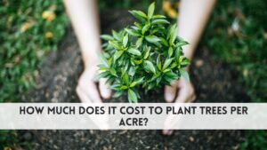 How much does it cost to plant trees per acre