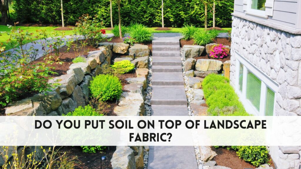 Cutters-Do you put soil on top of landscape fabric? 1 Do you put soil on top of landscape fabric