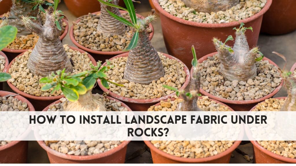 how to install landscape fabric under rocks