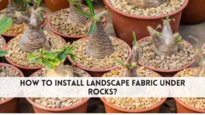 how to install landscape fabric under rocks
