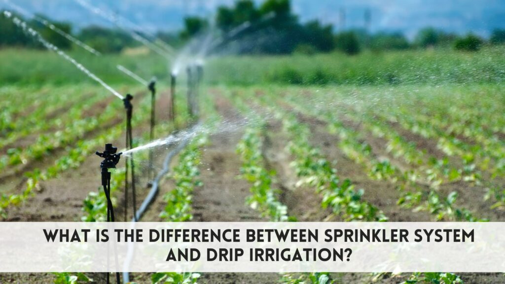 Cutters-What is the difference between sprinkler system and drip irrigation? 1 difference between sprinkler system and drip irrigation