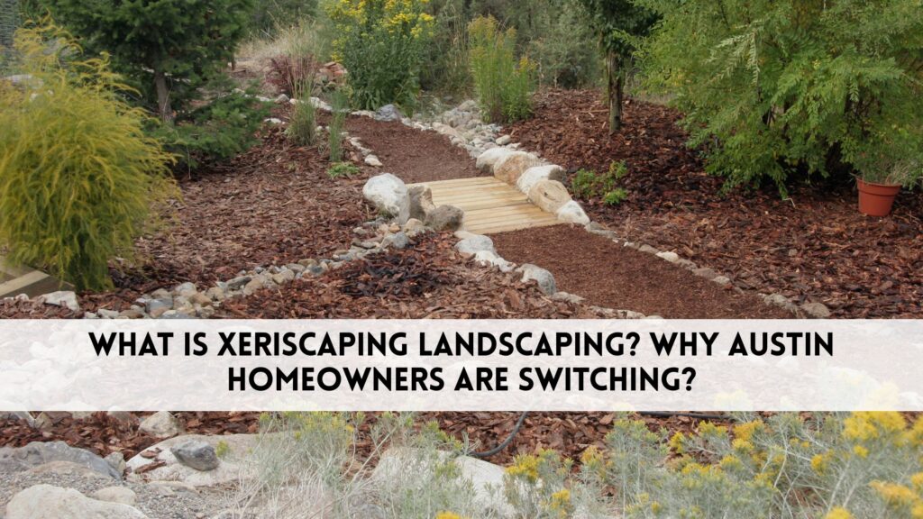 A garden with wood-chip mulch, rocks, native plants, and minimal grass shows what is xeriscaping landscaping, featuring a wooden bridge at its center.